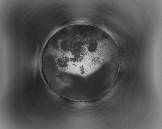 X0000093411474200710121108