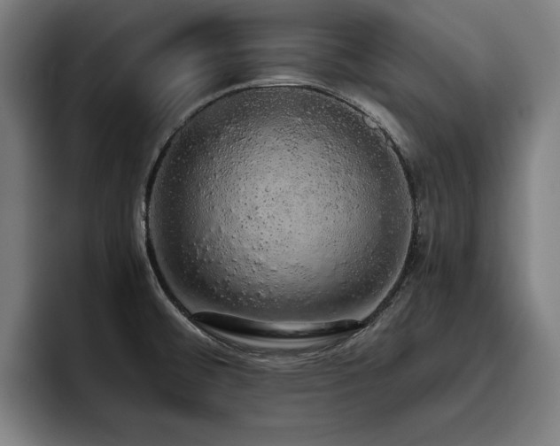 X0000093411476200710121108