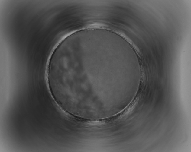X0000093411478200710121108