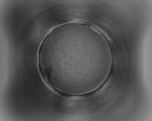 X0000093411479200710121108