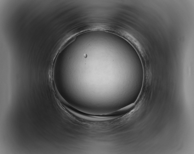 X0000093411481200710121108