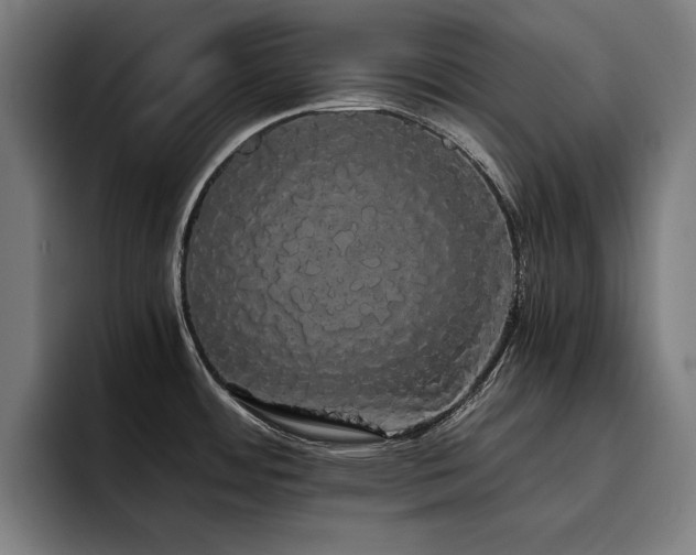 X0000093411484200710121108