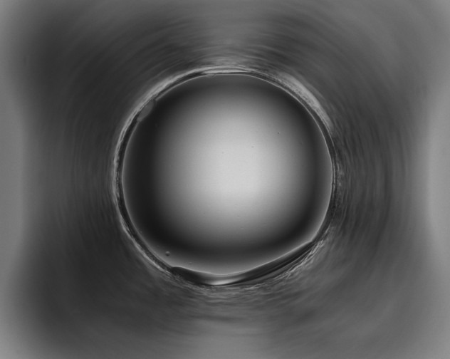 X0000093411485200710121108