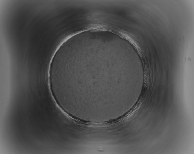 X0000093411487200710121108