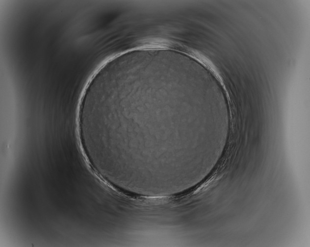 X0000093411488200710121108