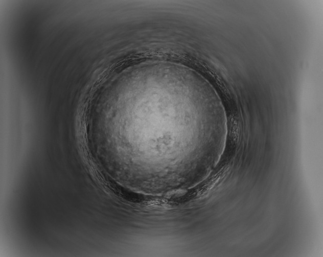 X0000093411489200710121107