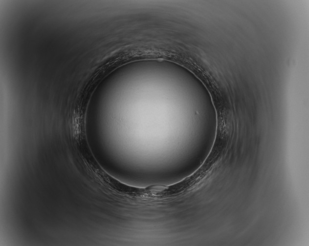 X0000093411490200710121107