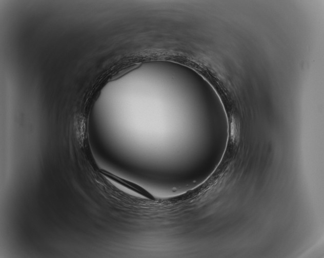 X0000093411492200710121107