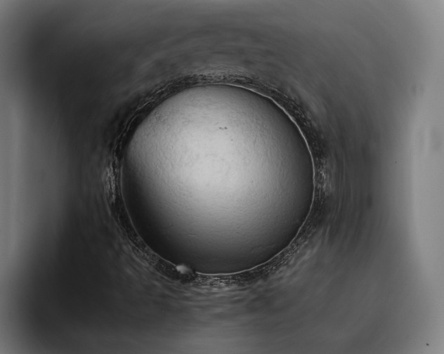 X0000093411493200710121107