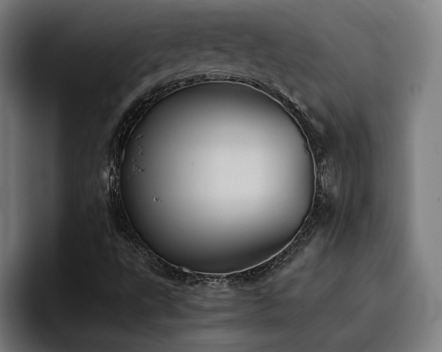 X0000093411495200710121107