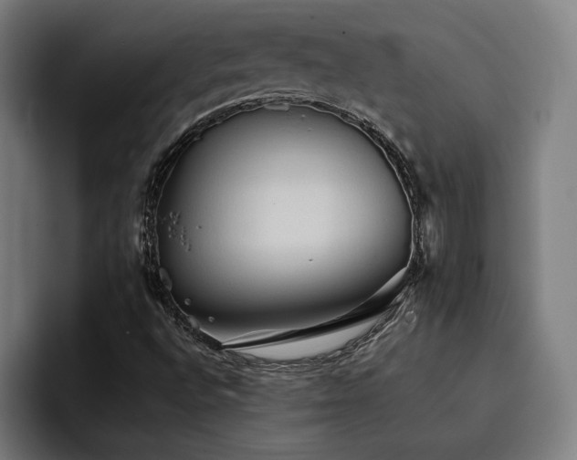 X0000093411496200710121107