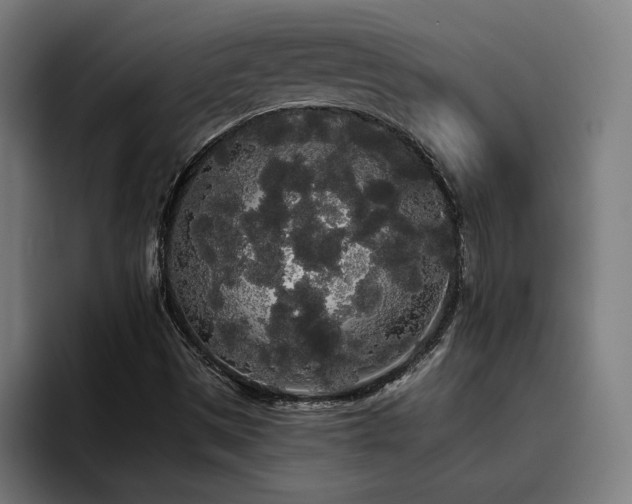 X0000093411497200710121107