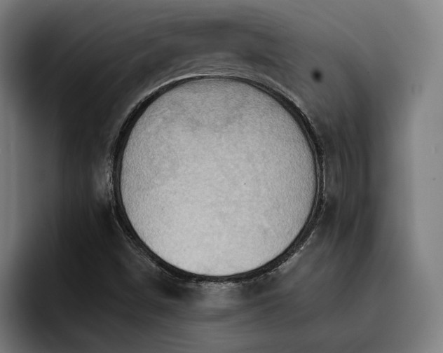 X0000093411498200710121107