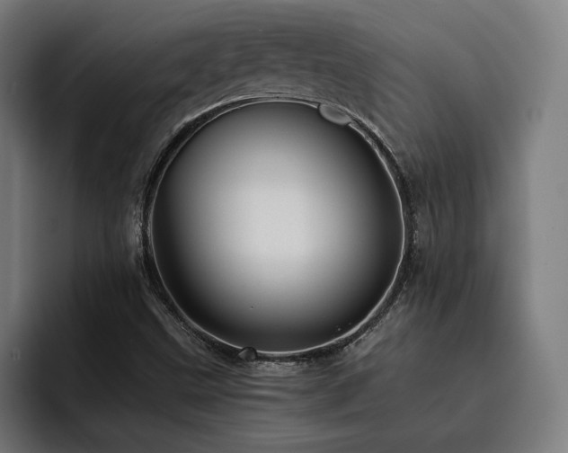 X0000093411499200710121107