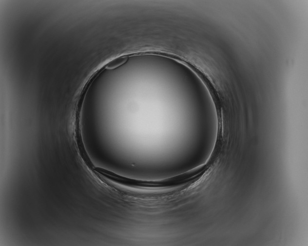 X0000093411500200710121107