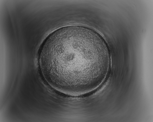 X0000093411501200710121107