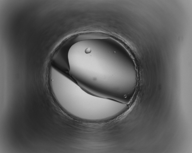 X0000093411502200710121107