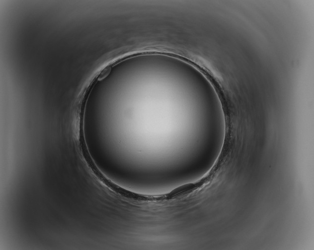 X0000093411504200710121107