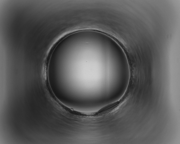 X0000093411510200710121108