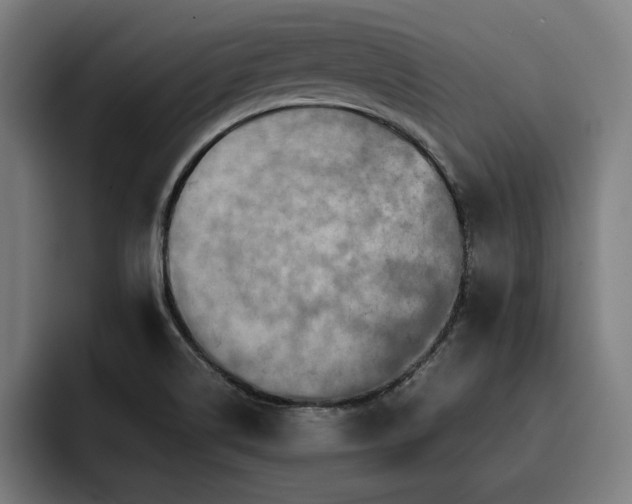 X0000093411514200710121108