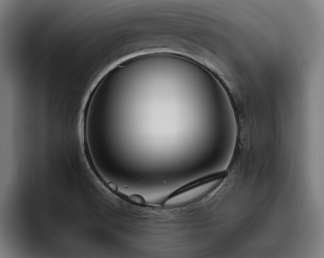 X0000093411516200710121108
