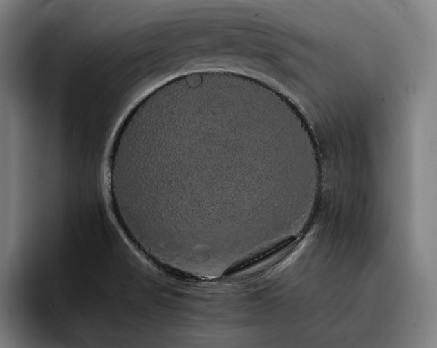 X0000093411517200710121108