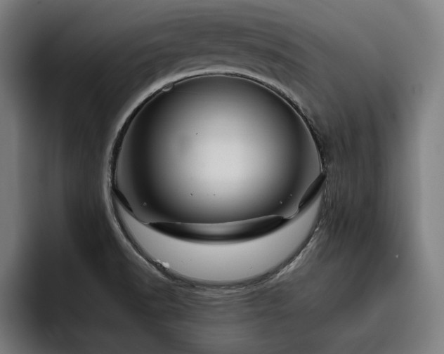 X0000093411518200710121108