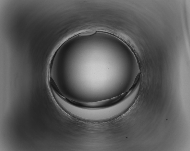 X0000093411520200710121108