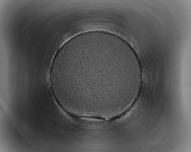 X0000093411521200710121108