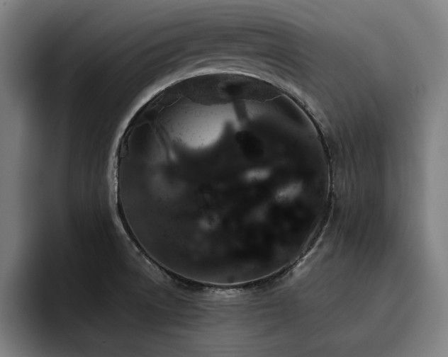 X0000093411522200710121108