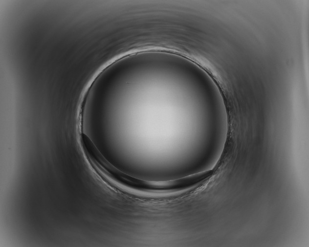 X0000093411524200710121108