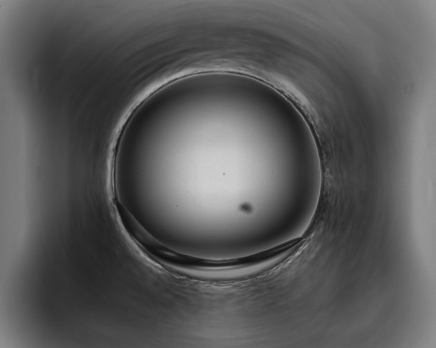 X0000093411528200710121108