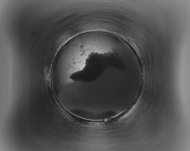 X0000093411529200710121108