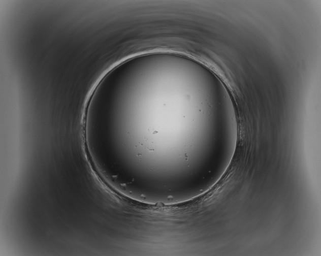 X0000093411532200710121108