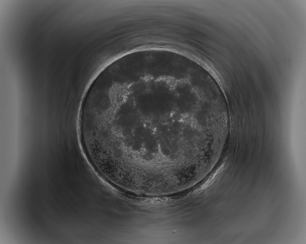 X0000093411533200710121108