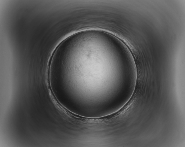 X0000093411534200710121108