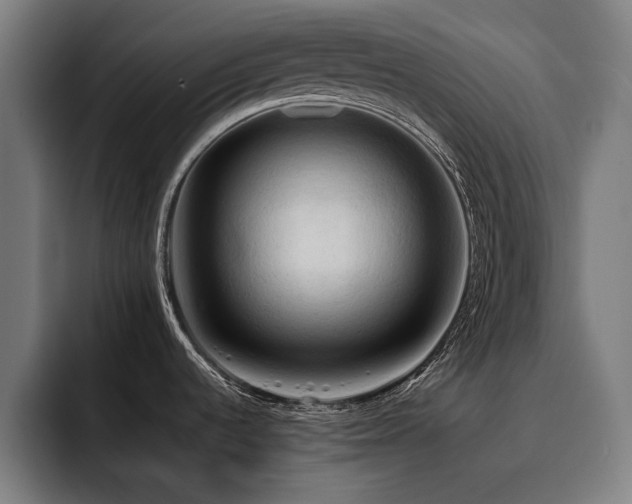 X0000093411536200710121108