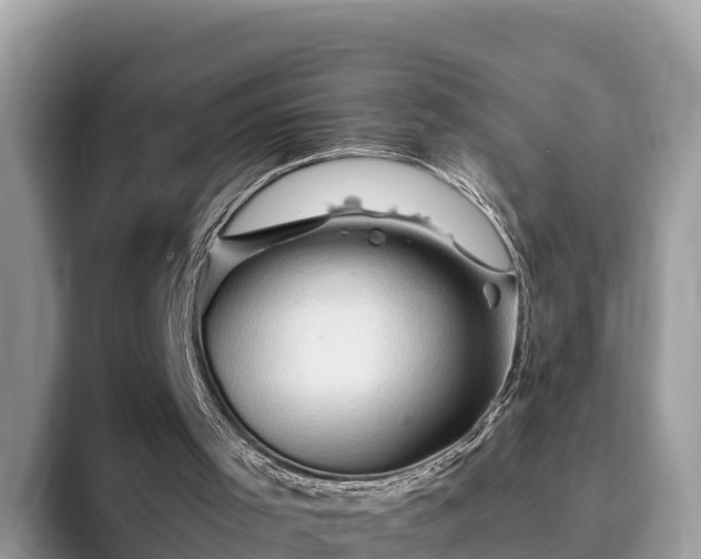 X0000093410001200710190954