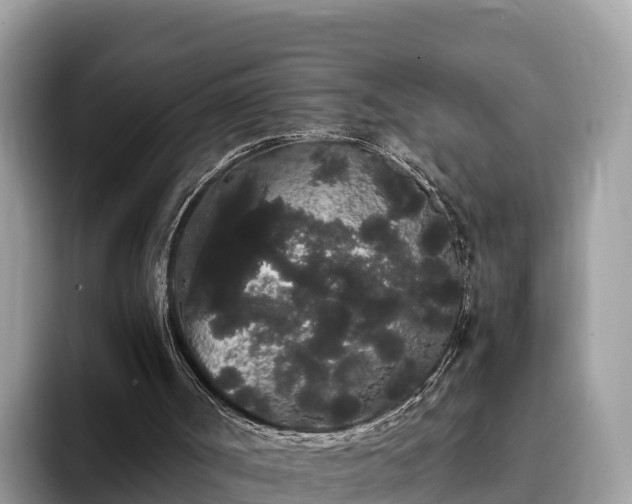 X0000093410002200710190954