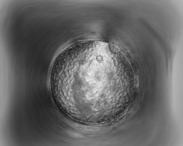 X0000093410004200710190954