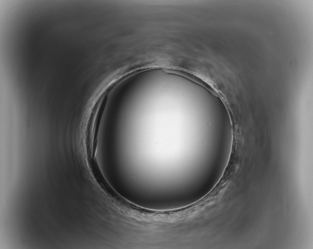 X0000093410007200710190954