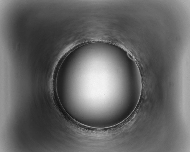 X0000093410008200710190954