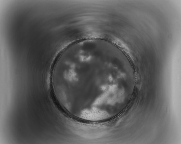 X0000093410012200710190954