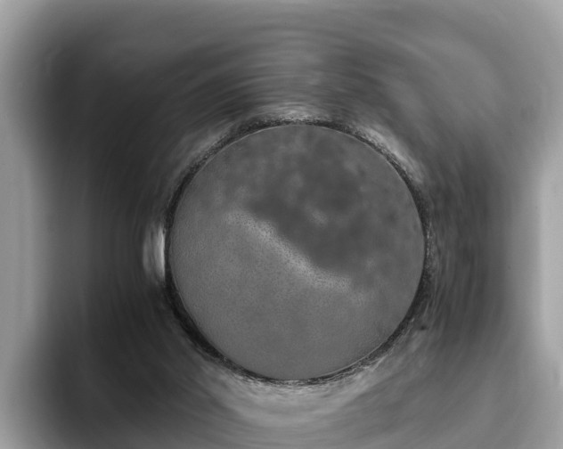 X0000093410014200710190954