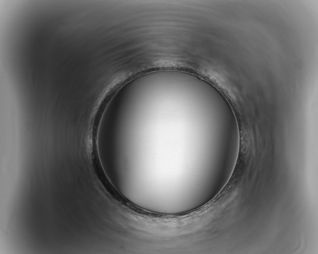 X0000093410015200710190954