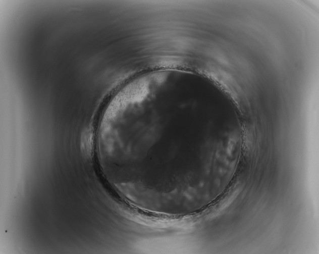 X0000093410016200710190954