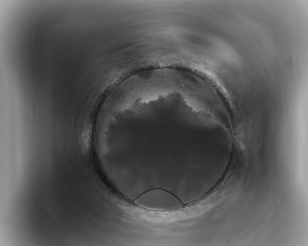 X0000093410018200710190954