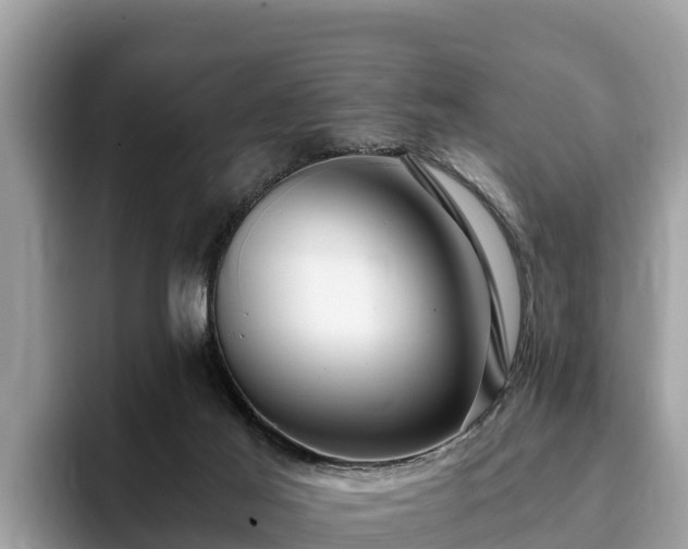 X0000093410021200710190954