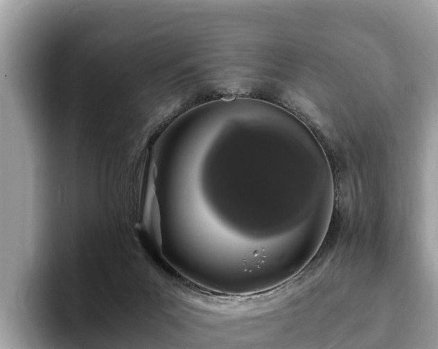 X0000093410023200710190954