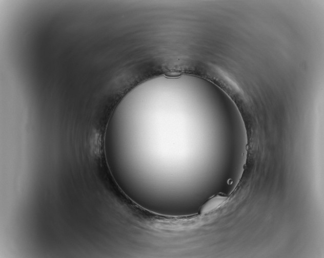 X0000093410025200710190954